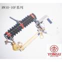group 10KV drop type fuse RW10-10F 200A with load