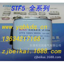 BEIKAI fast fuse fuse speediness fuse STF4-800V 2500A