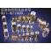 ↑ fuse series 1000FH45 45A fuse