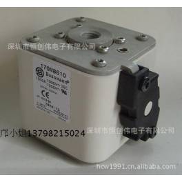 170M8610 170M3491 170M4494 170M4614 170M4719 170M4827 fuse