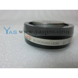 thyristor BISCR8801830 BISCR15001850 Warranty professional