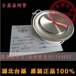 TECHSEM High power silicon controlled rectifier thyristor KK1800A1300V Y60KKE