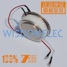 speediness thyristor tablet Y W60KKE-L KK1500A 10 12 16 400-1800V OT