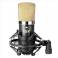 ISK BM-700 capacitive microphone computer yy network K sound card record device suit microphone