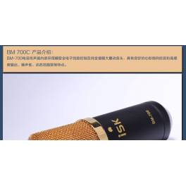 genuine ISK BM-700 record capacitive microphone microphone sound card K suit