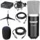 TAKSTAR Teana PC-K500 computer record professional professional capacitive microphone