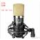 AC-AUDIO S90 small diaphragm capacitance musical instrument recording microphone single