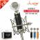 ISK BM-700 capacitive microphone computer yy network K record device suit microphone
