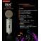 genuine Ready Stock ISK T2050 recording microphone capacitance microphone high-end monitor headphones
