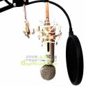 SAMSON Gtrack G-Track large diaphragm USB capacitance microphone