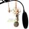 SAMSON Gtrack G-Track large diaphragm USB capacitance microphone
