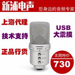 ISK SM-162 SM162 capacitance microphone record network K genuine .