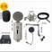 ISK BM-5000 capacitive microphone isk5000 BM500 microphone genuine