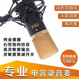 C-4 C4 capacitance recording microphone microphone
