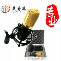 YW-1000 professional record capacitive microphone ture