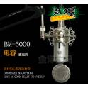 genuine ISK BM-5000 bm5000 large diaphragm capacitive microphone k microphone