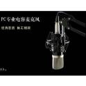PC-K500 record capacitive microphone K microphone 360 frame suit