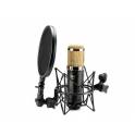 ISK RM-6 cantilever capacitive microphone ISK RM6 recording microphone network K