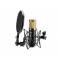 ISK RM-6 cantilever capacitive microphone ISK RM6 recording microphone network K