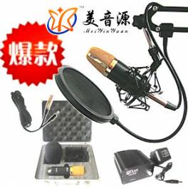 YW-1000 professional record capacitive microphone microphone suit ture