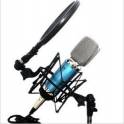 ISK RM-12 record dedicated aluminium strip capacitive microphone microphone isk capacitive microphone