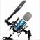 ISK RM-12 record dedicated aluminium strip capacitive microphone microphone isk capacitive microphone