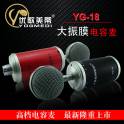 ISK RM-16 professional capacitance