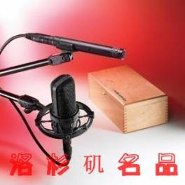American Audio-Technica AT4040SP audio-technica heart-shaped capacitance microphone