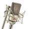 Neumann Newman TLM103 TLM-103 large diaphragm capacitance microphone single