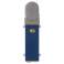 Blue BlueBerry Blueberry Blue Berry record capacitance microphone