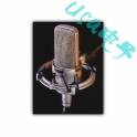 American Audio-Technica AT4047MP audio-technica many point to condenser microphone