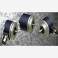 & Leine&Linde encoder 507687-01 New genuine