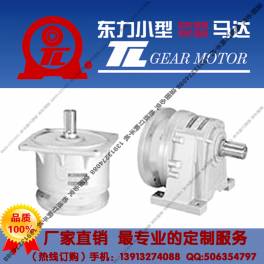 Taiwan TL motor controller gear reduction motor servo